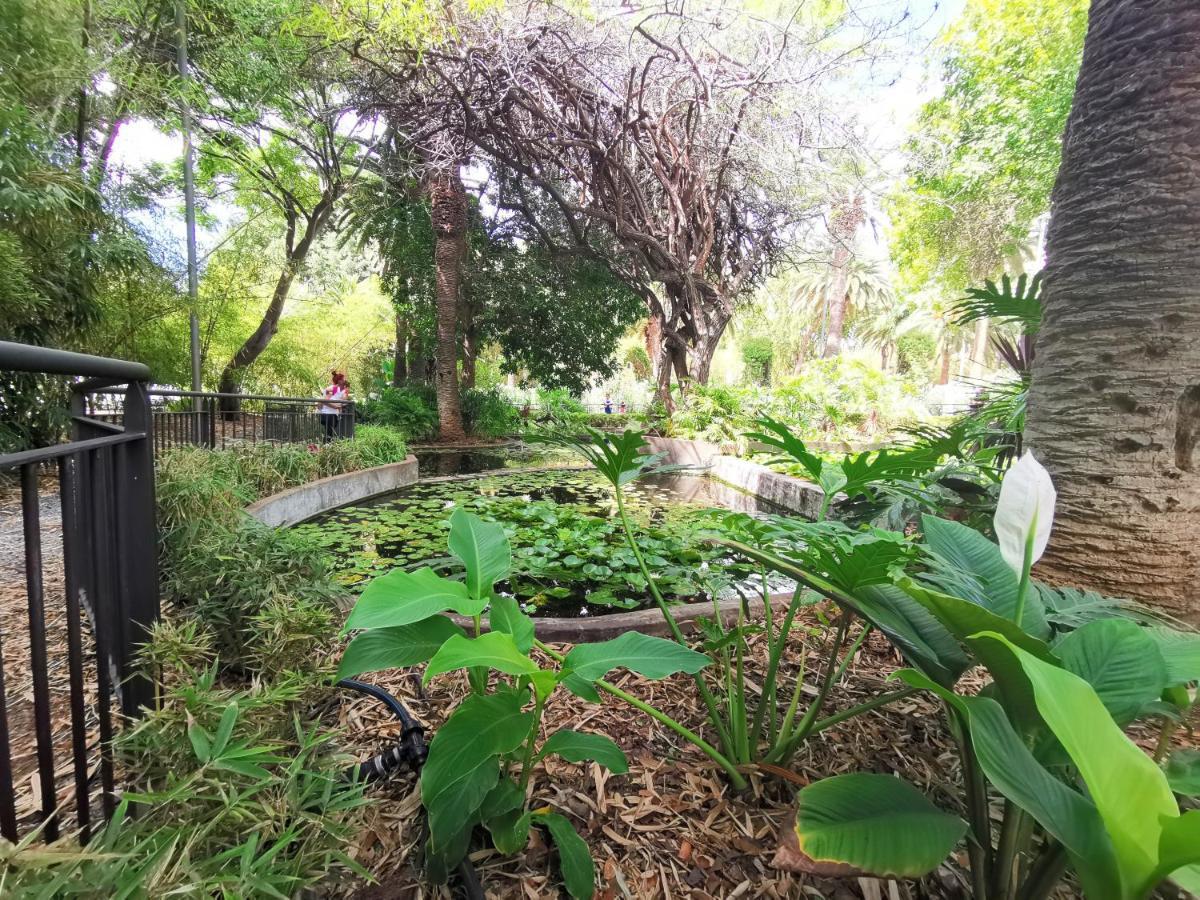 Home2Book Bright Center Apartment Santa Cruz المظهر الخارجي الصورة